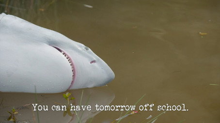 Taskmaster Australia Sezona 4