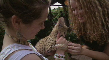 Into Africa (1995) - Episode 21 poster and promotional image