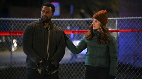 Chicago P.D.: Distrito 211213