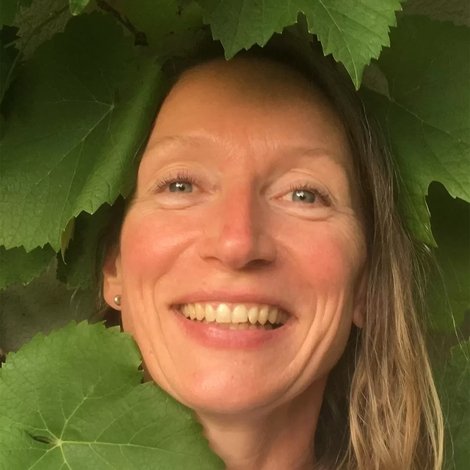 Dörte Schneider