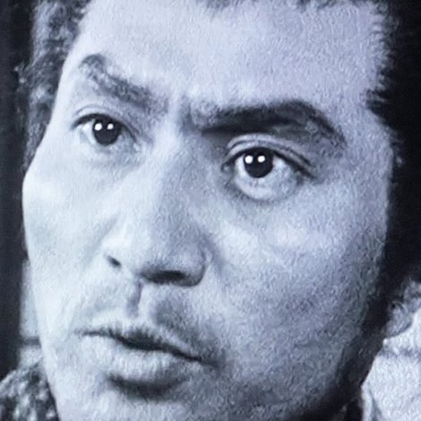 Masaharu Arikawa