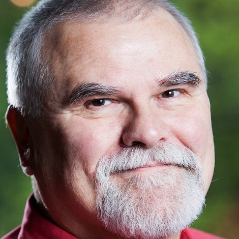 Pálfi Zoltán