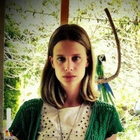 Stephanie Gulin