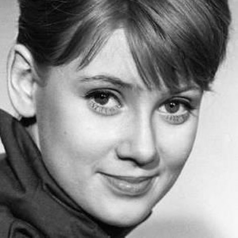 Gitte Hænning
