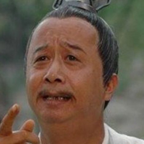 Jia Zhaoji