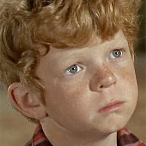 Johnny Whitaker