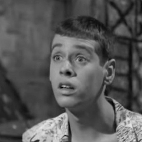 Sammy Petrillo