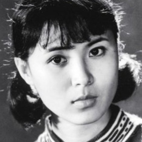 Pu Chaoying