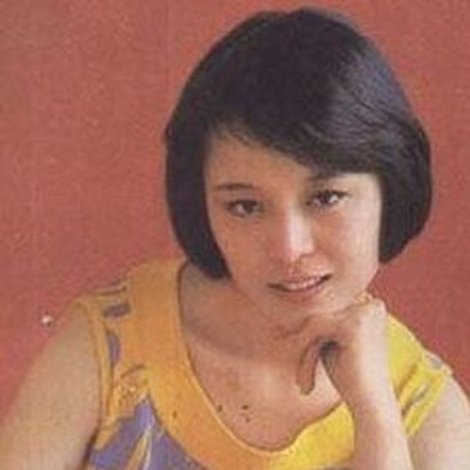 Wang Hui