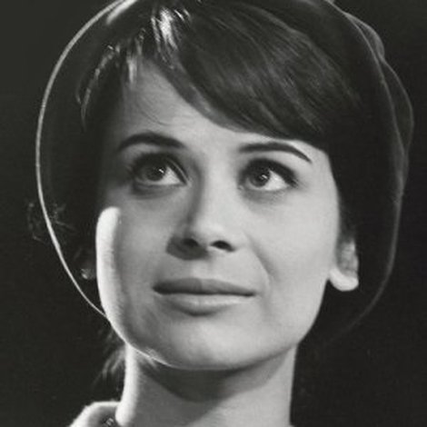 Josée Steiner