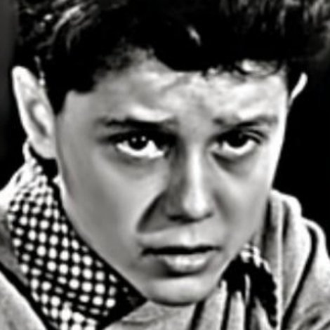 Michel Dumur