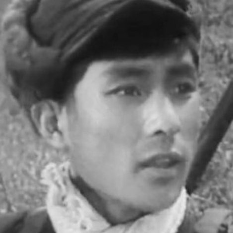 Bo Li