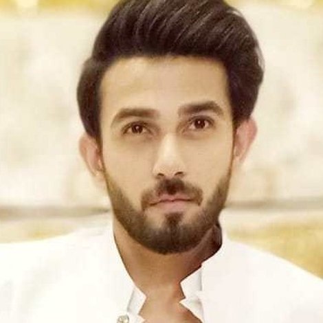 Ali Ansari