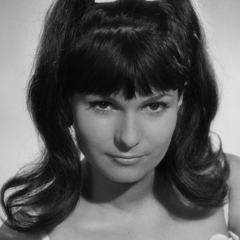 Petra von der Linde