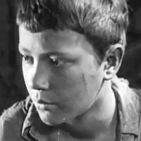 B. Gusev