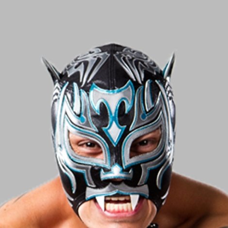 Tigre Uno