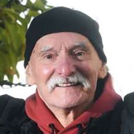 Sandi Pavlin