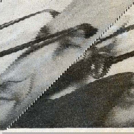 Aldo Francia