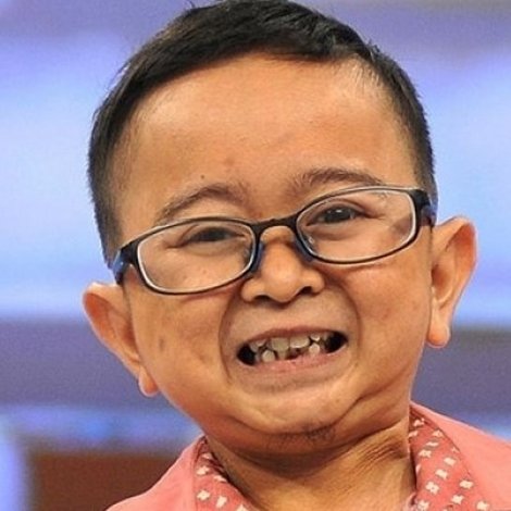 Daus Mini