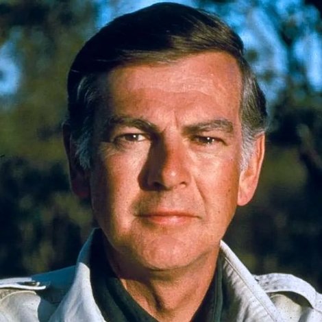 Donald C. Johanson