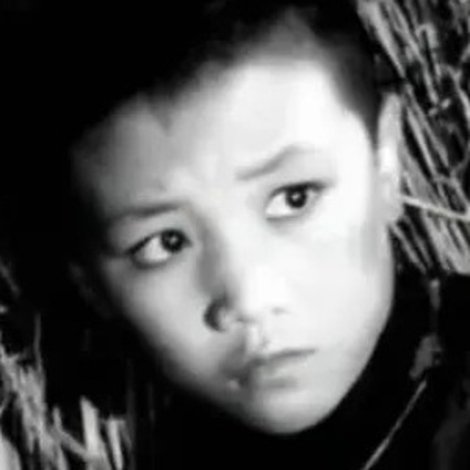 Chen Donggang