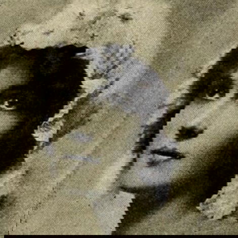 Adele Ray