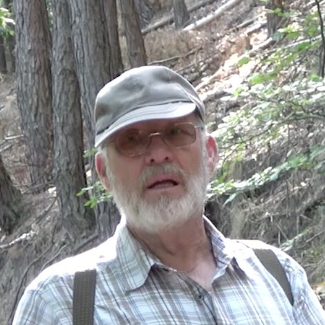Rainer Hanewald