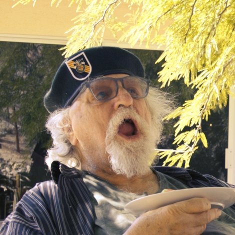 Elliot Schulnik