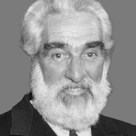 Noel Purcell