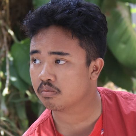 Hafidz Aulia