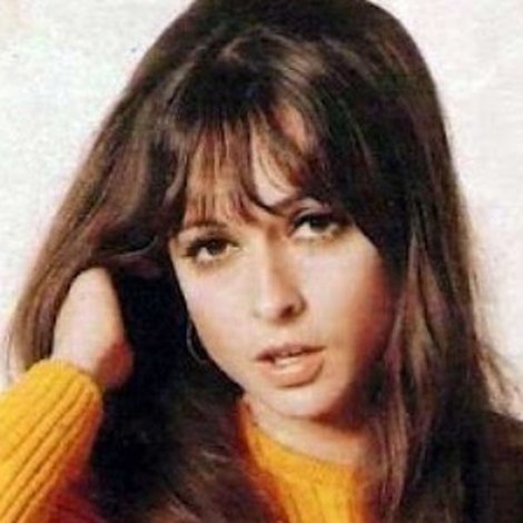 Bibi Vogel