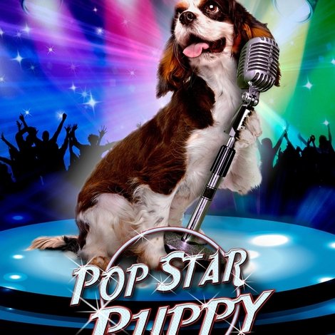 Pop Star Puppy