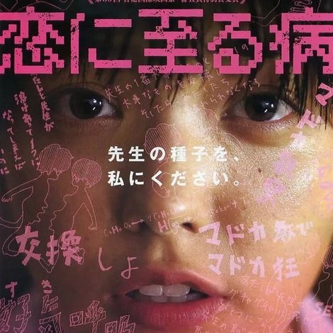 恋に至る病