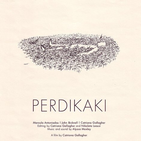 Perdikaki
