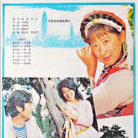 洱海情波