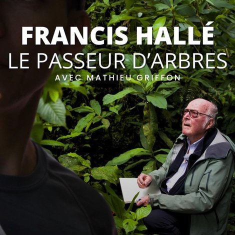 Francis Hallé, le passeur d’arbres