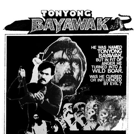 Tonyong Bayawak
