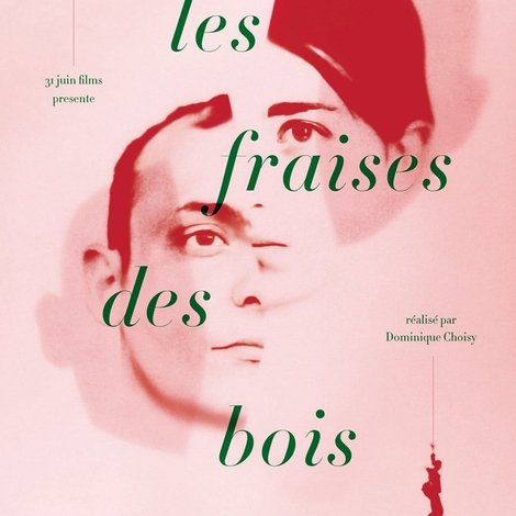 Les fraises des bois