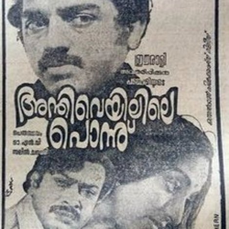 അന്തിവെയിലിലെ പൊന്ന്