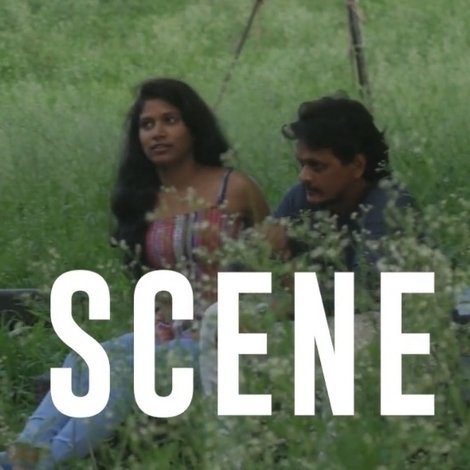 The Scene