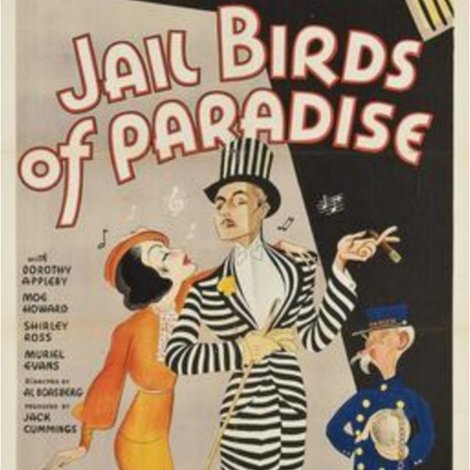 Jail Birds of Paradise
