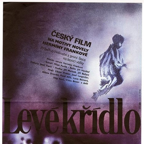 Levé křídlo