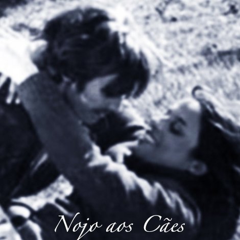 Nojo aos Cães