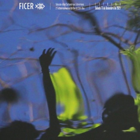 Experiencia FICER