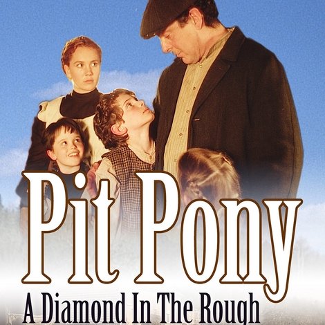 Pit Pony