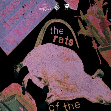 The Rats of the City