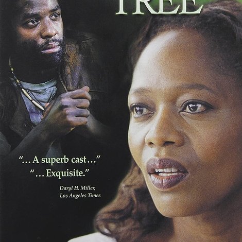 The Wishing Tree