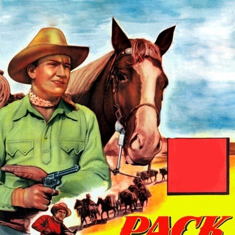Pack Train