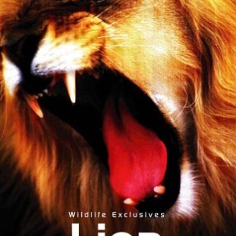 Lion Battlefield