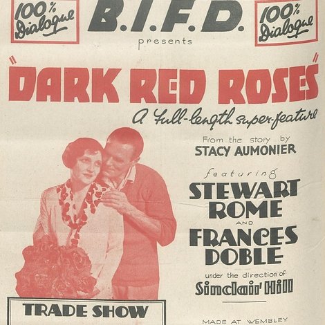 Dark Red Roses